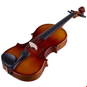 ویولن تی اف مدل استیودنت کد 14
