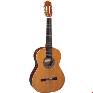 گیتار کلاسیک پرز مدل 610